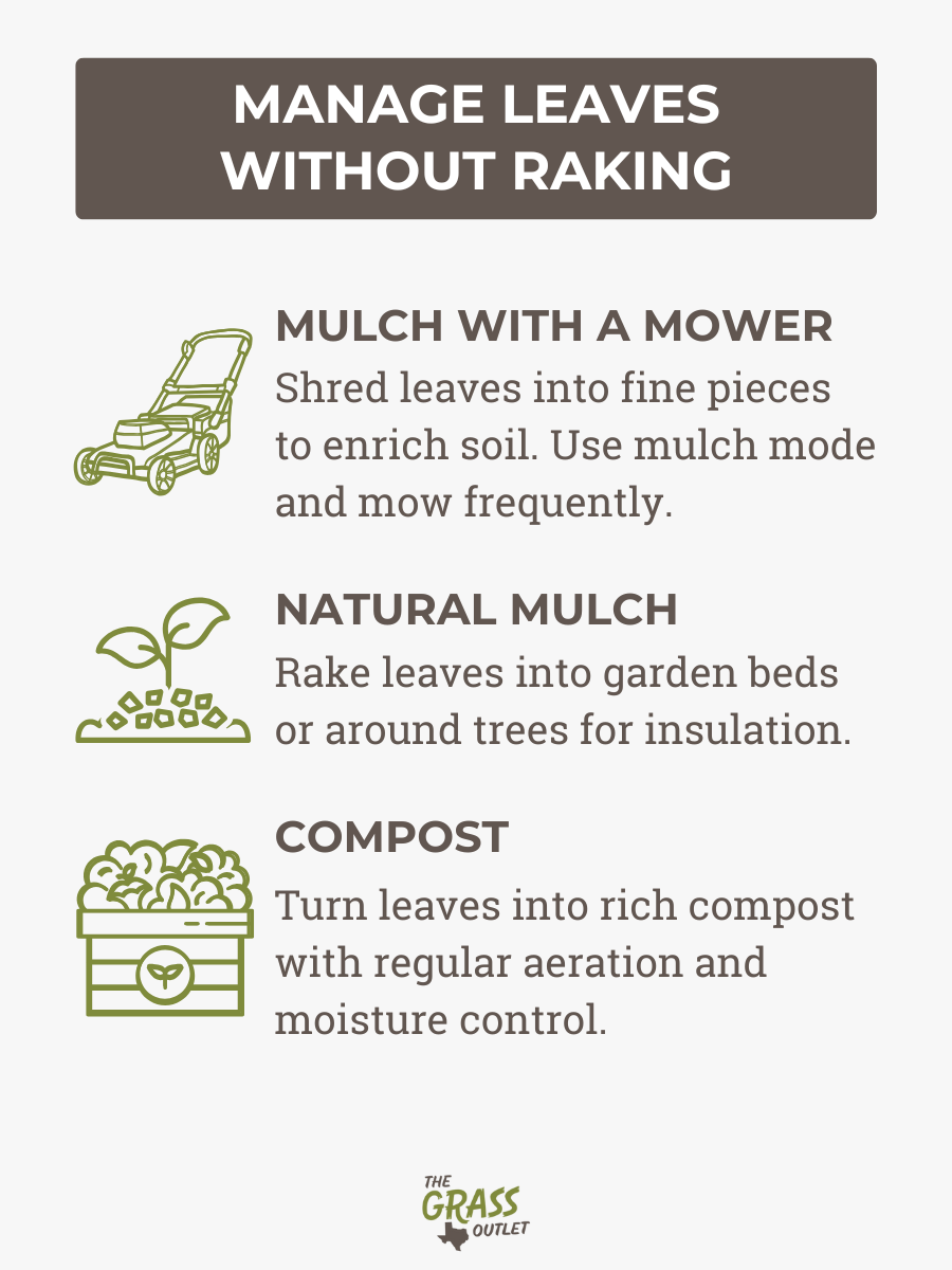 MANAGE LEAVES WITHOUT RAKING