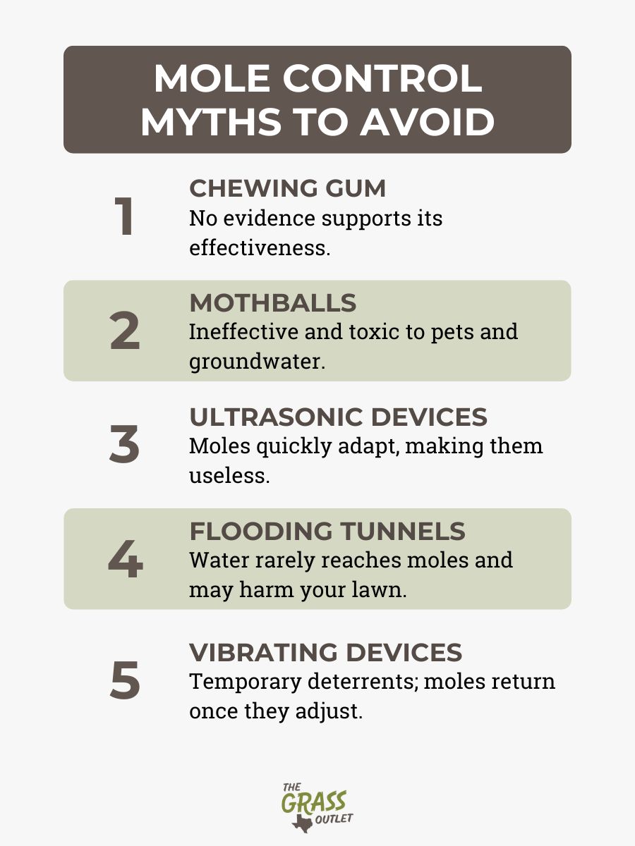 Mole Control Myths to Avoid