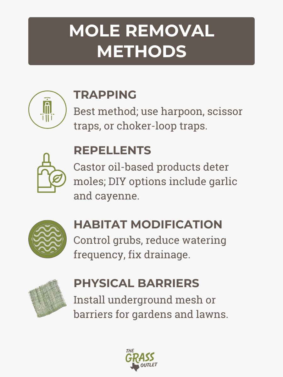 Mole Removal Methods