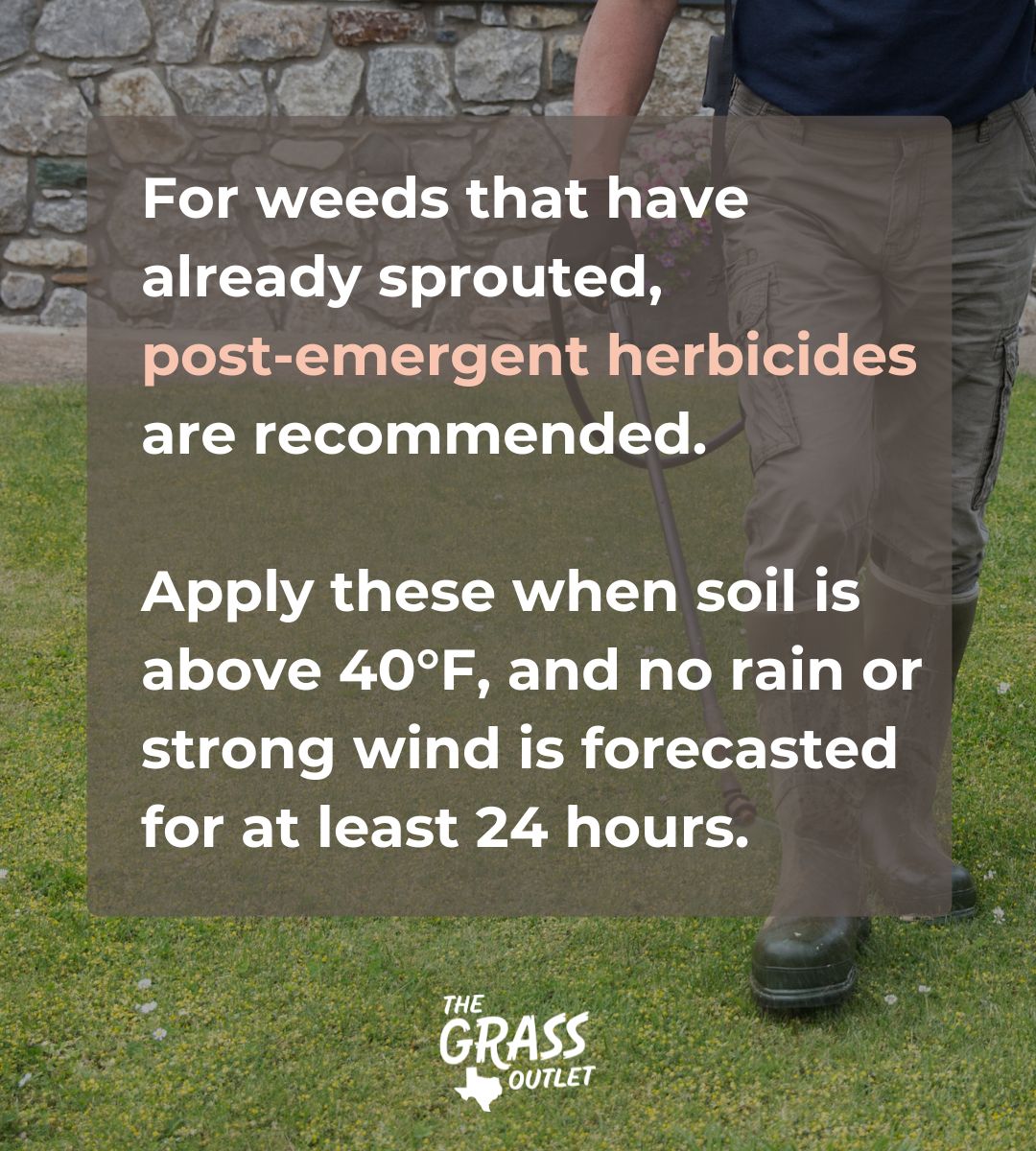 Post Emergent Herbicides: Total Eradication