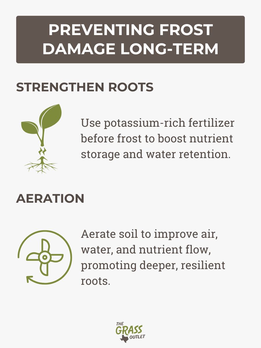 Preventing Frost Damage Long-Term