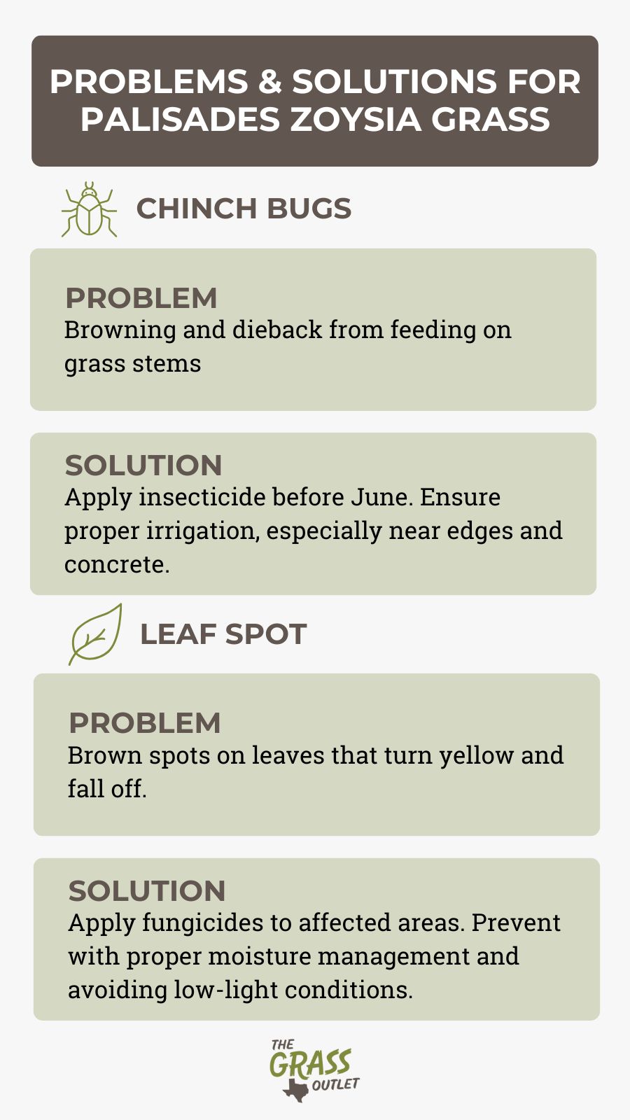 Problems & solutions for palisades zoysia grass