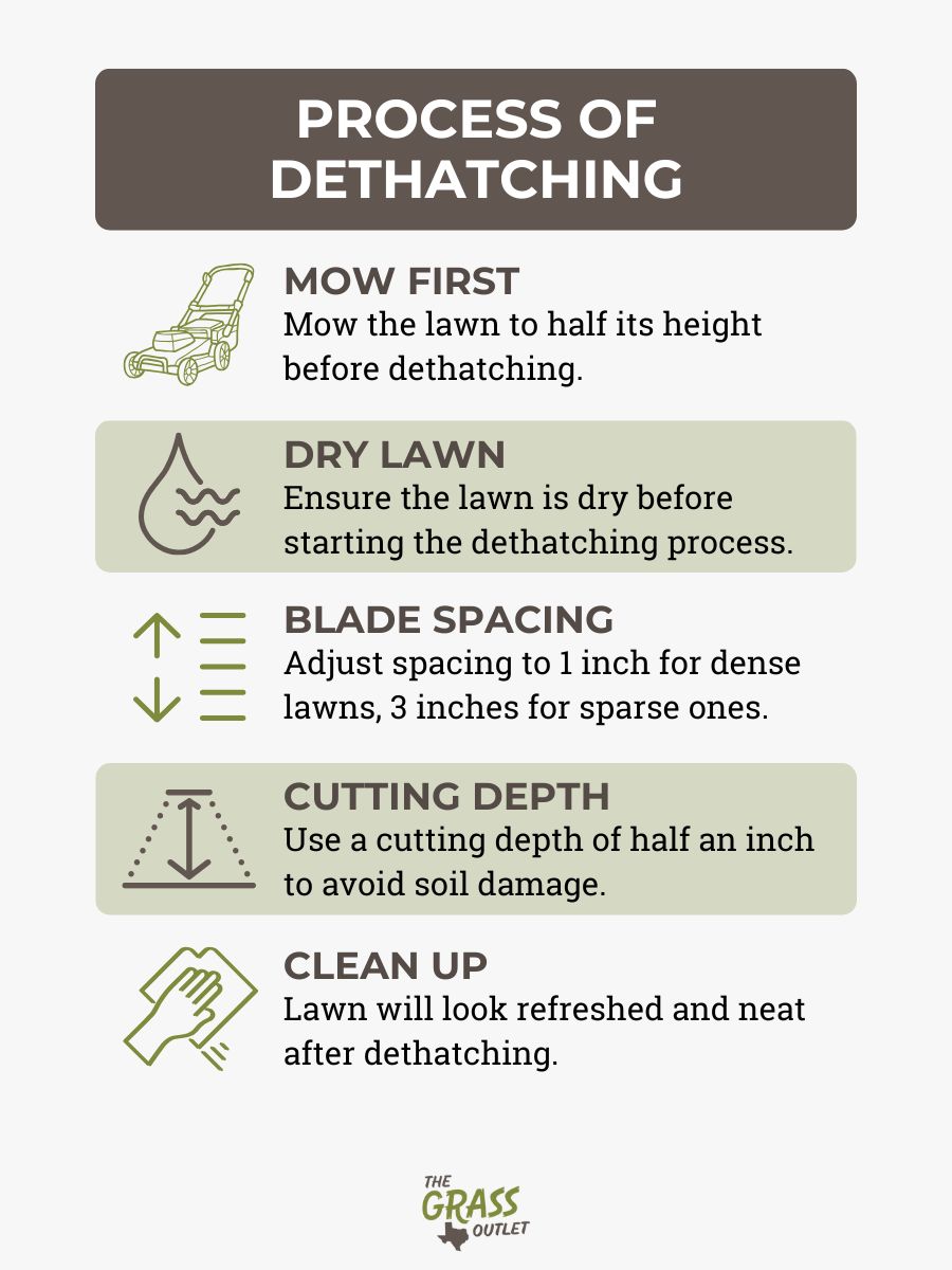 Process of dethatching