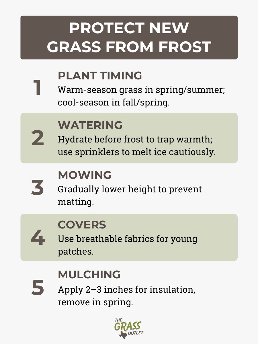 Protect New Grass from Frost