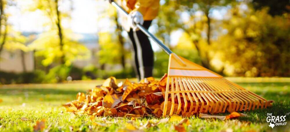 Raking leaves