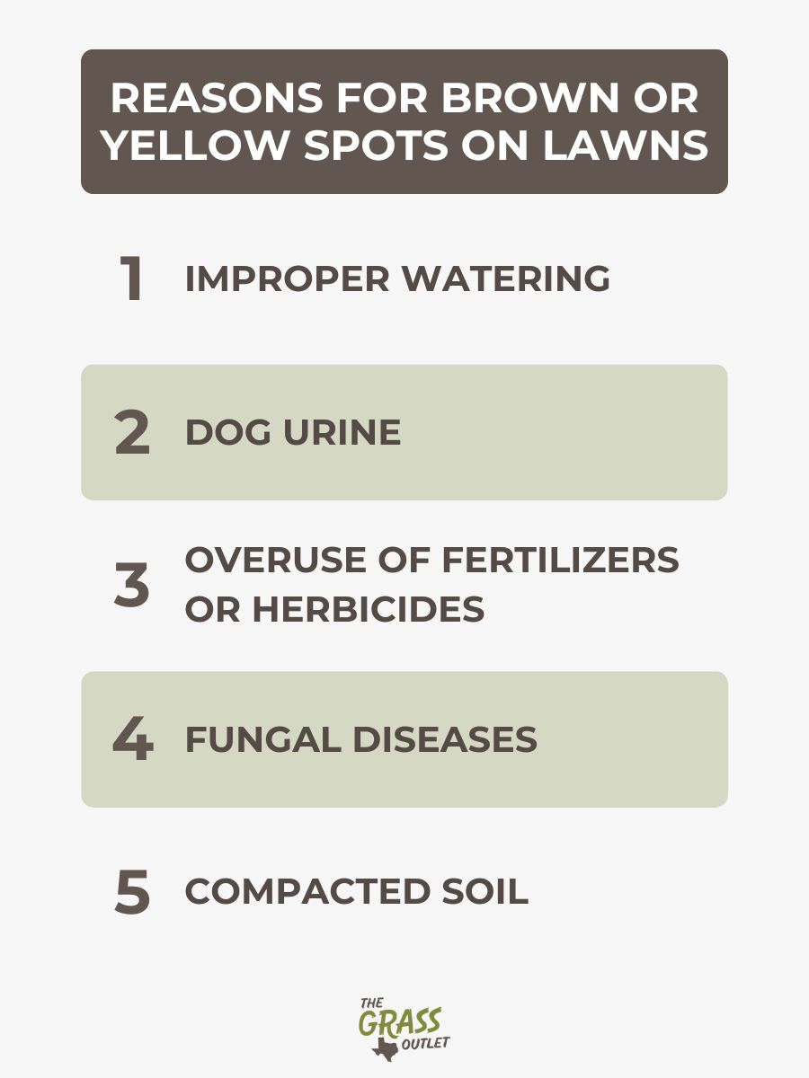 Reasons for Brown or Yellow Spots on Lawns