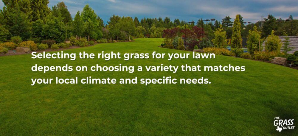 Regional and Climate Considerations