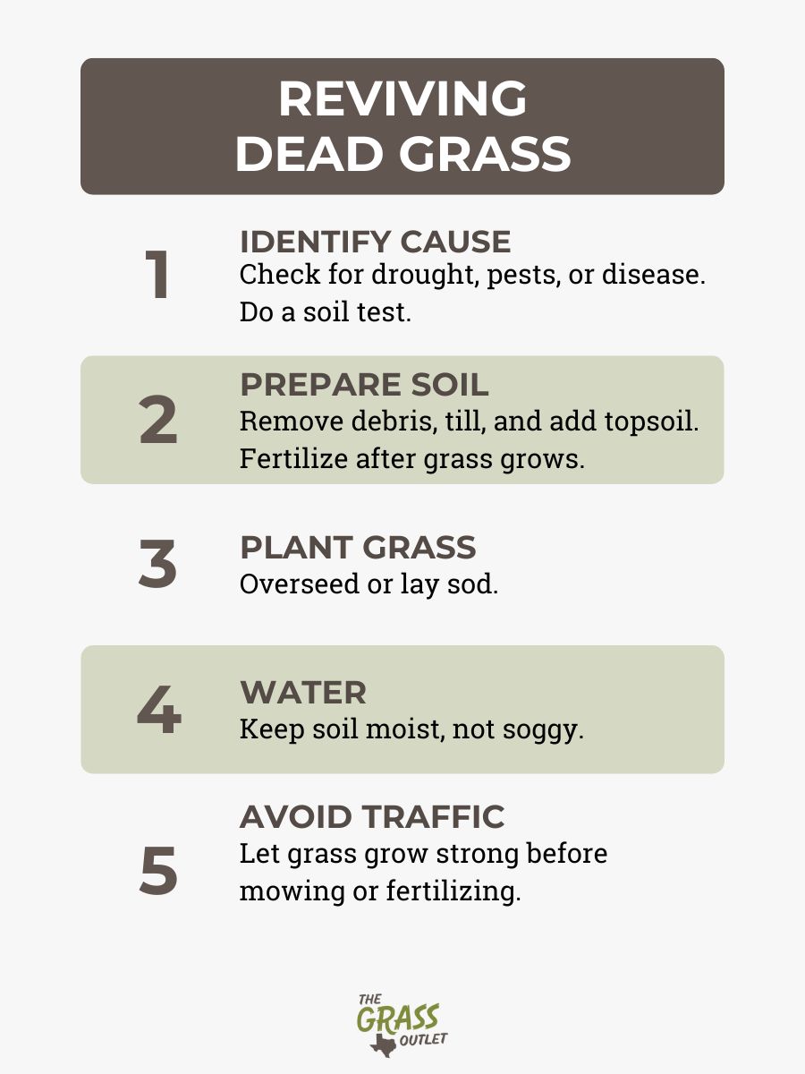Reviving Dead Grass