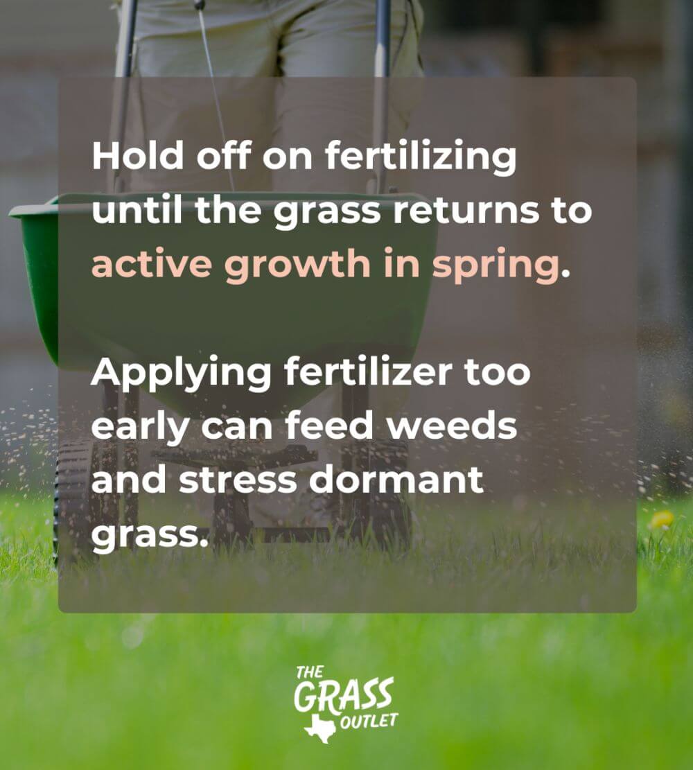 Reviving Grass After Winter