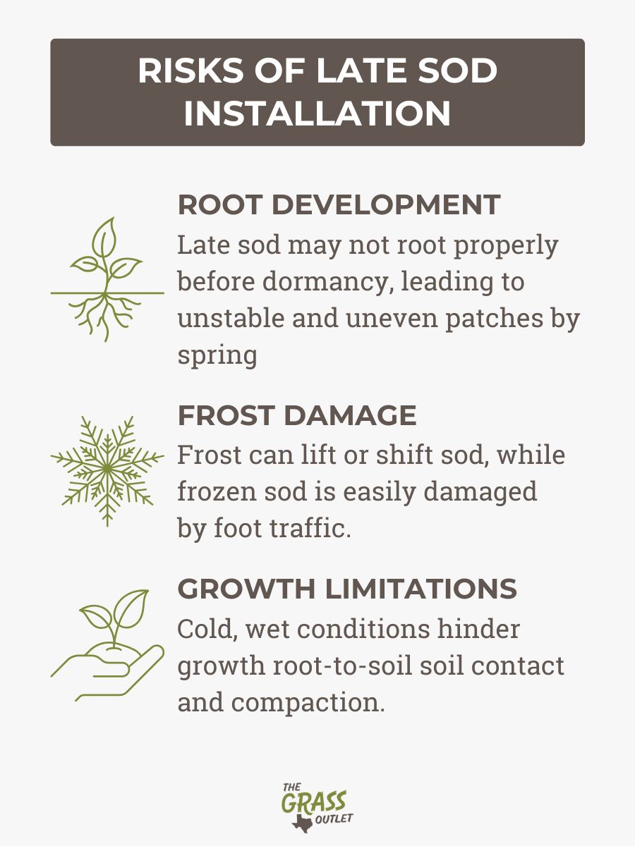 Risks of late sod installation