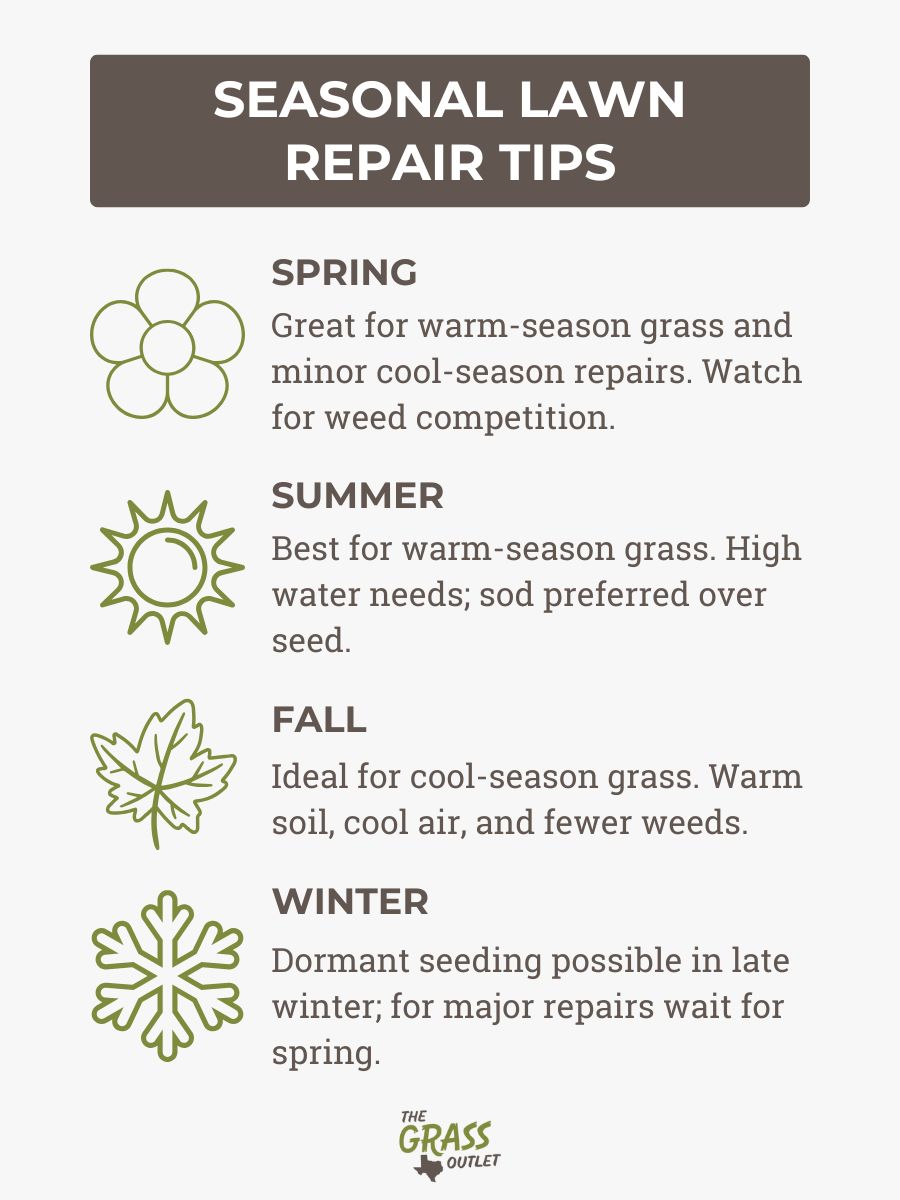 Seasonal Lawn Repair Tips
