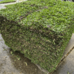 Pallet of Palmetto St. Augustine grass