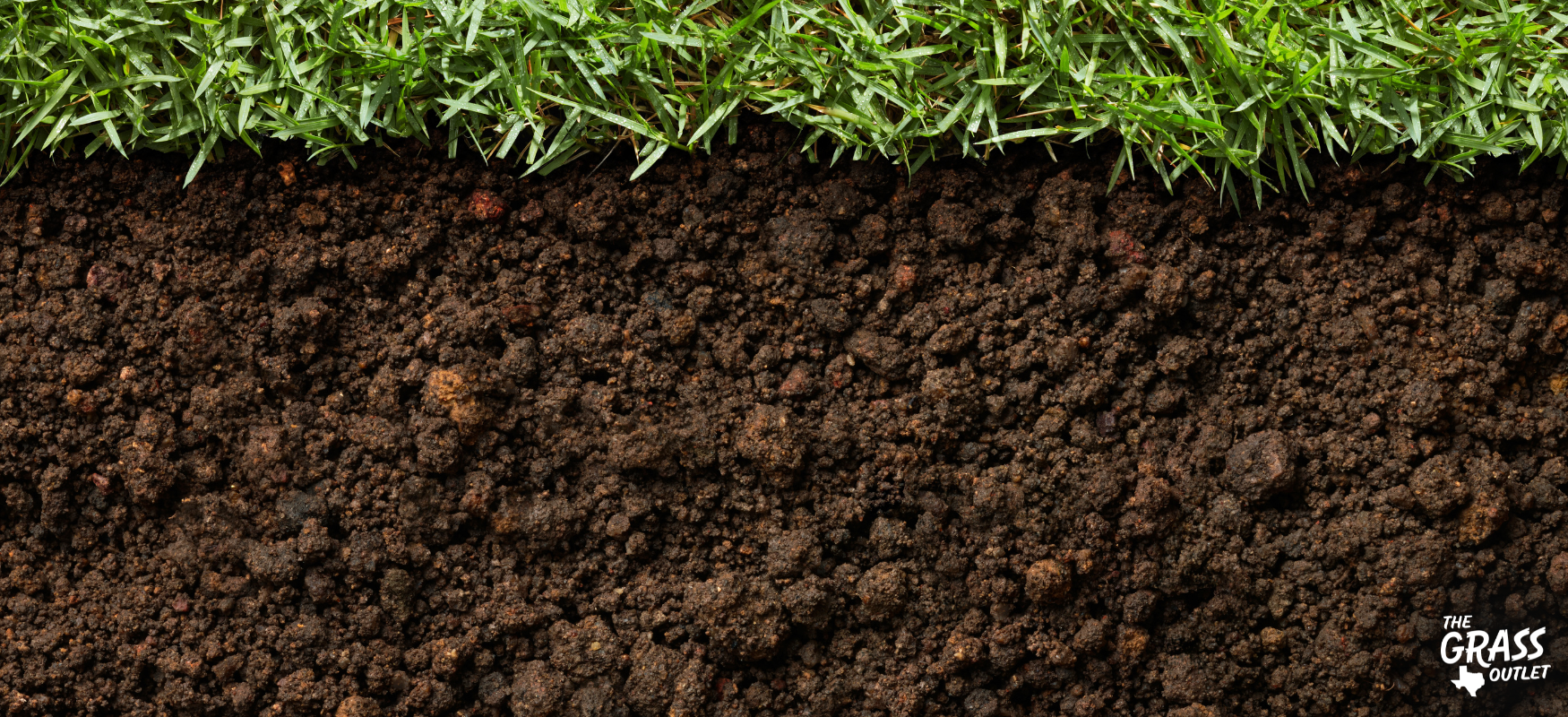 Soil - Factors Affecting Planting Success