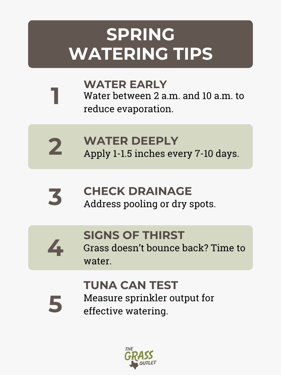 Spring Watering Tips
