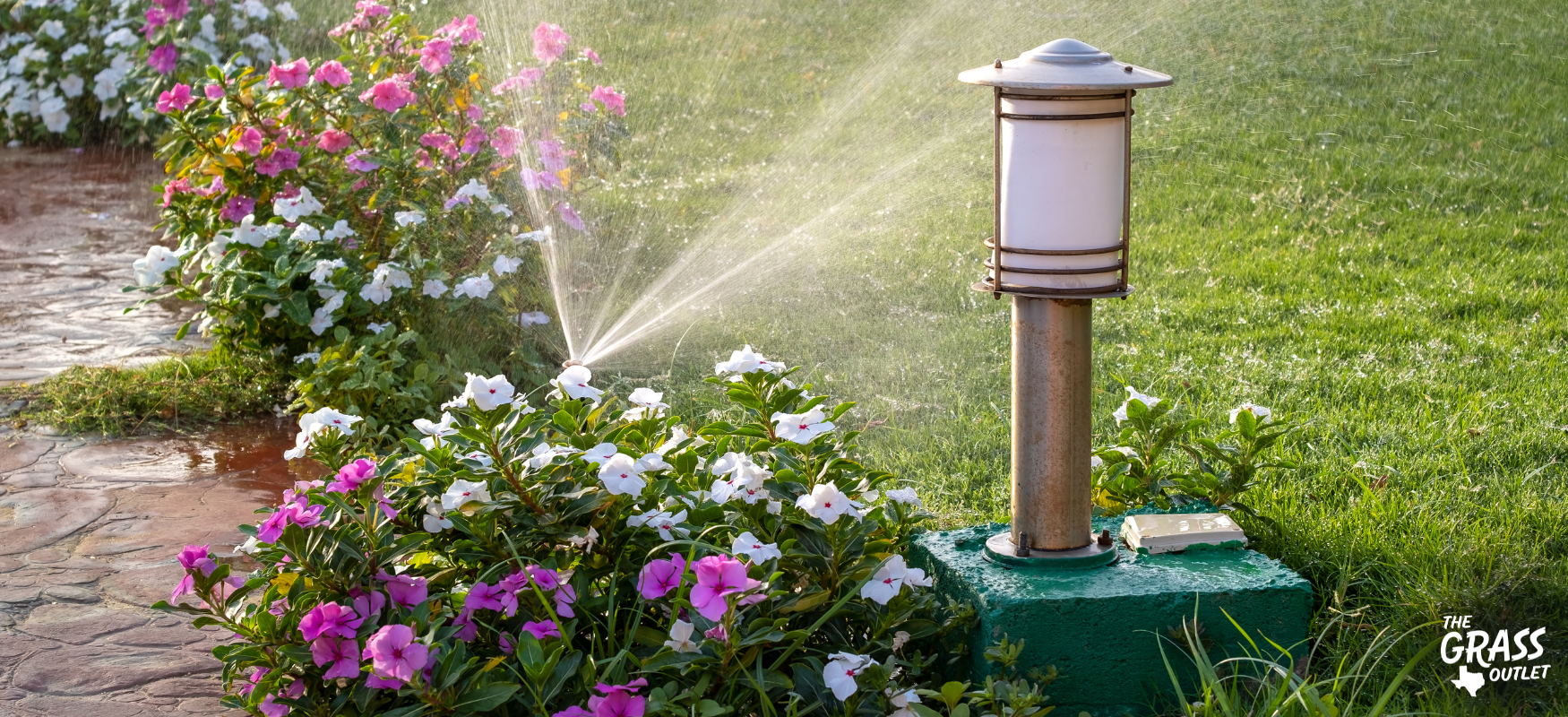 Spring lawn care