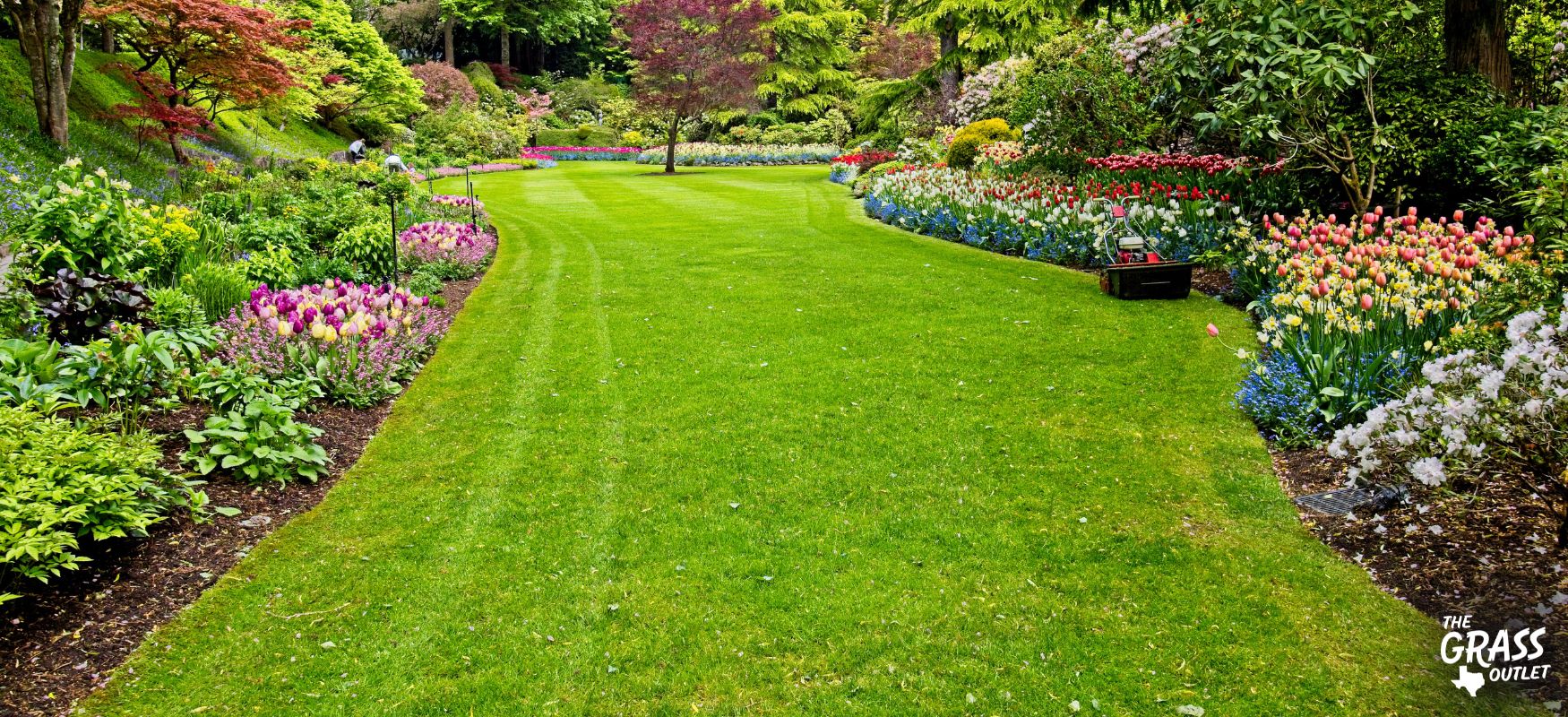 Spring lawn