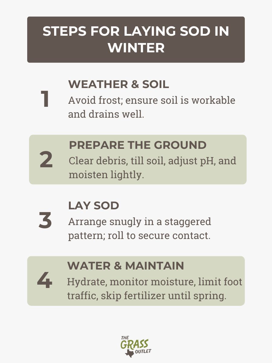 Steps for Laying Sod in Winter