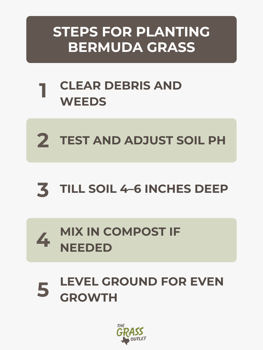 Steps for Planting Bermuda Grass