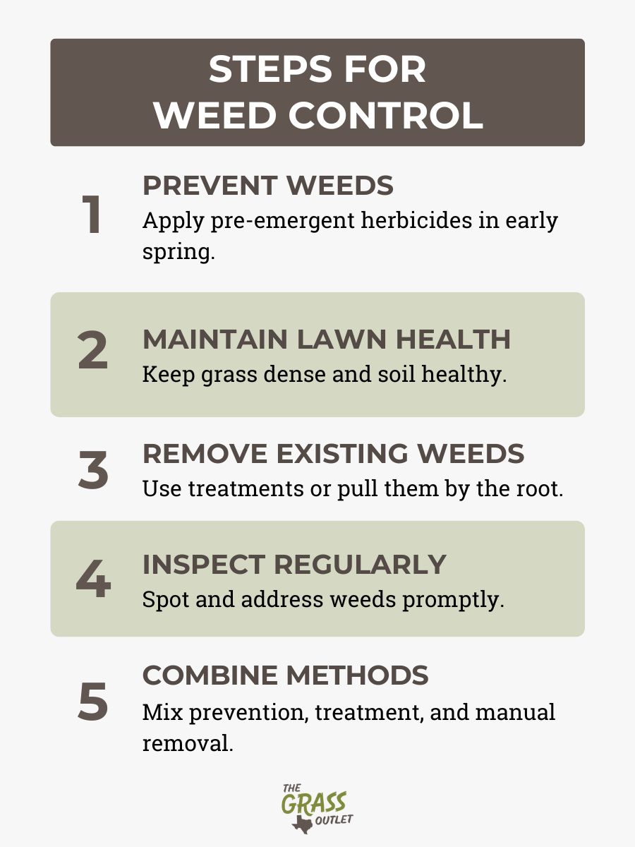 Steps for Weed Control