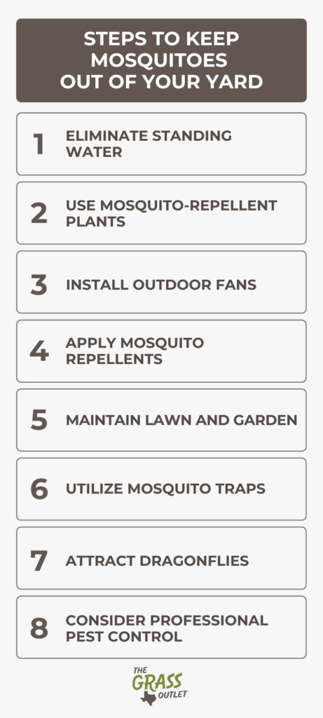 Eight steps to keep mosquitos out of your yard