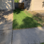 Freshly installed Texas Native St. Augustine