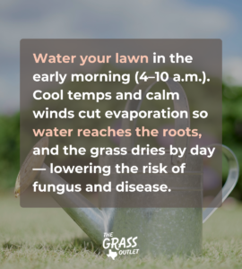 tips for the best time to water lawn