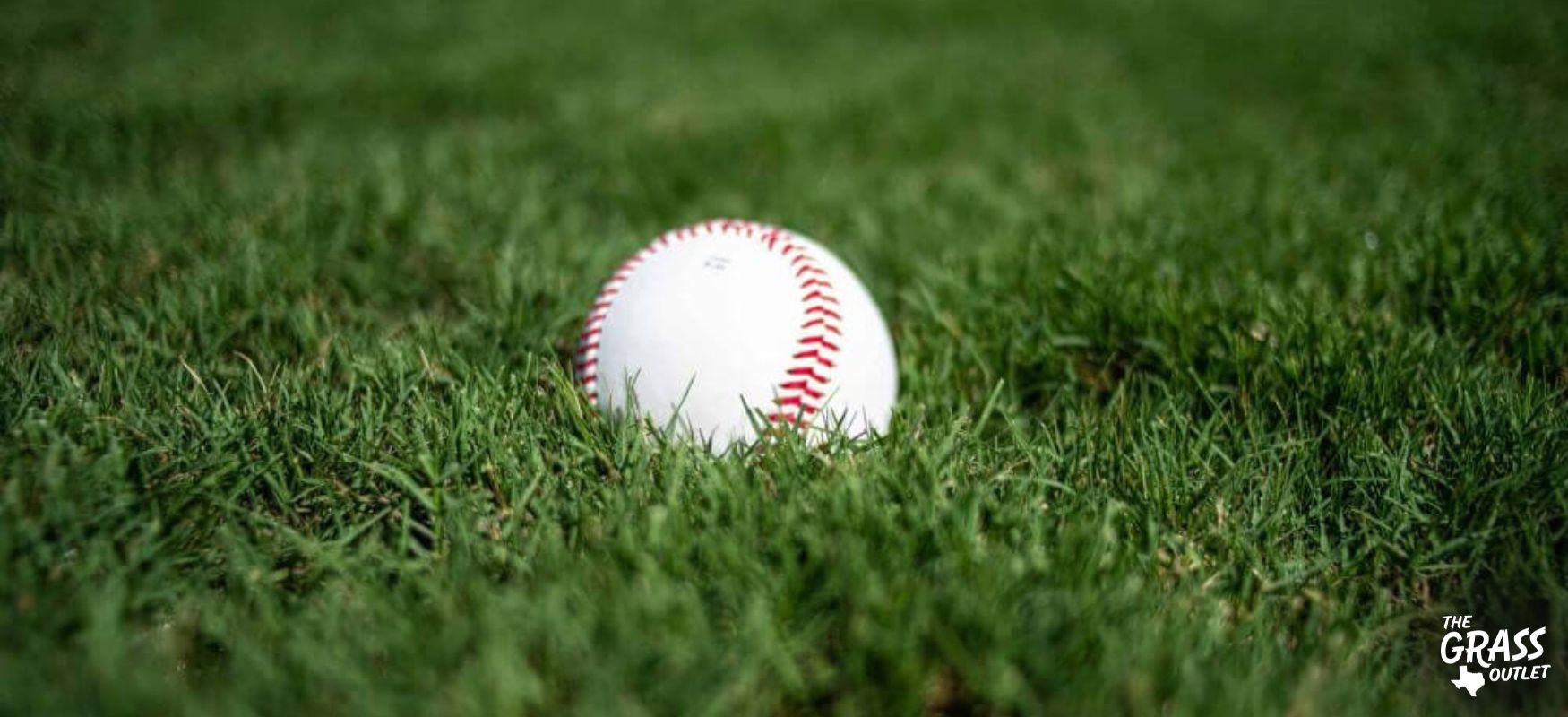Tifway Bermuda and baseball