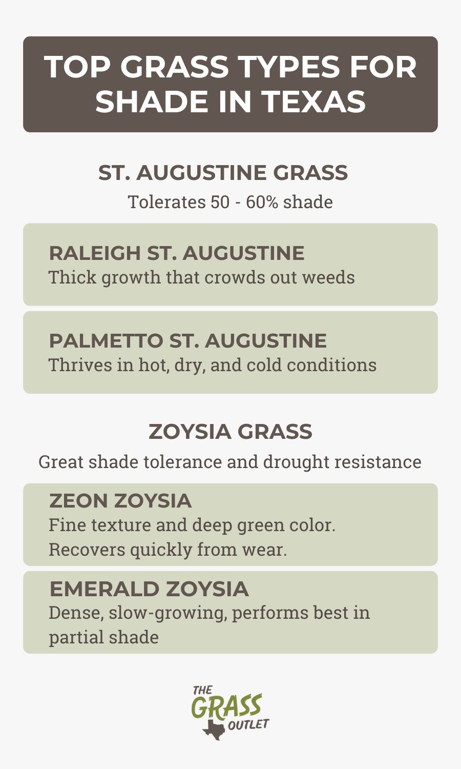 Top grass types for shade in texas