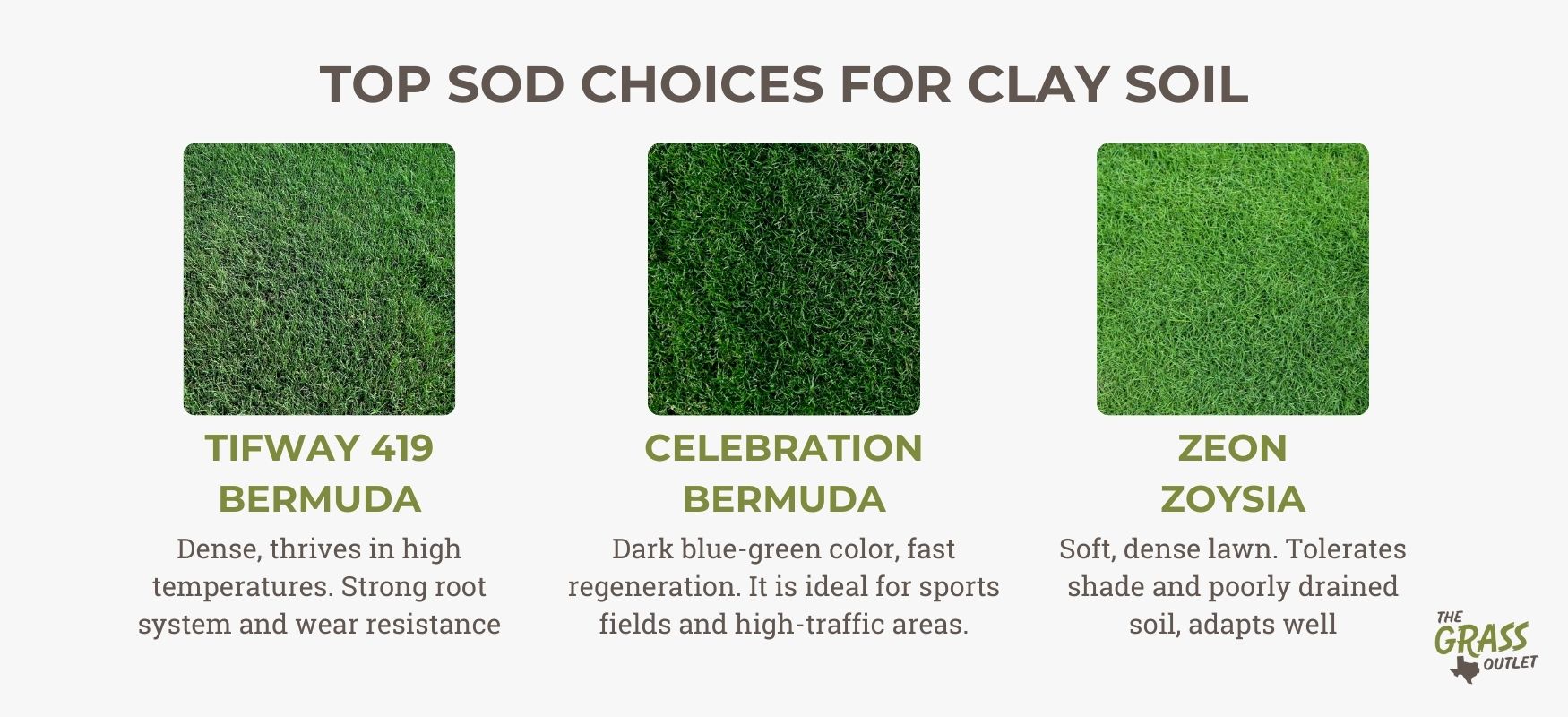 Top sod choices for clay soil
