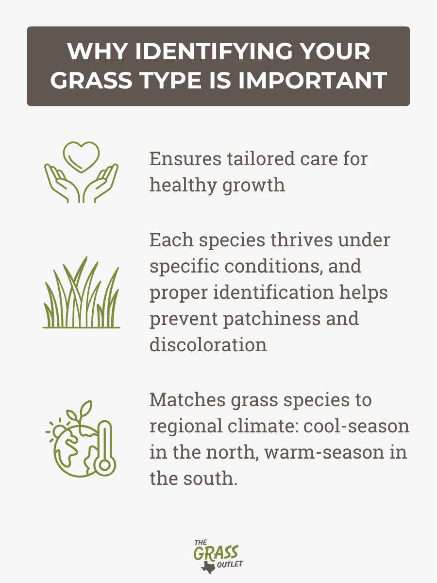 WHY IDENTIFYING YOUR GRASS TYPE IS IMPORTANT