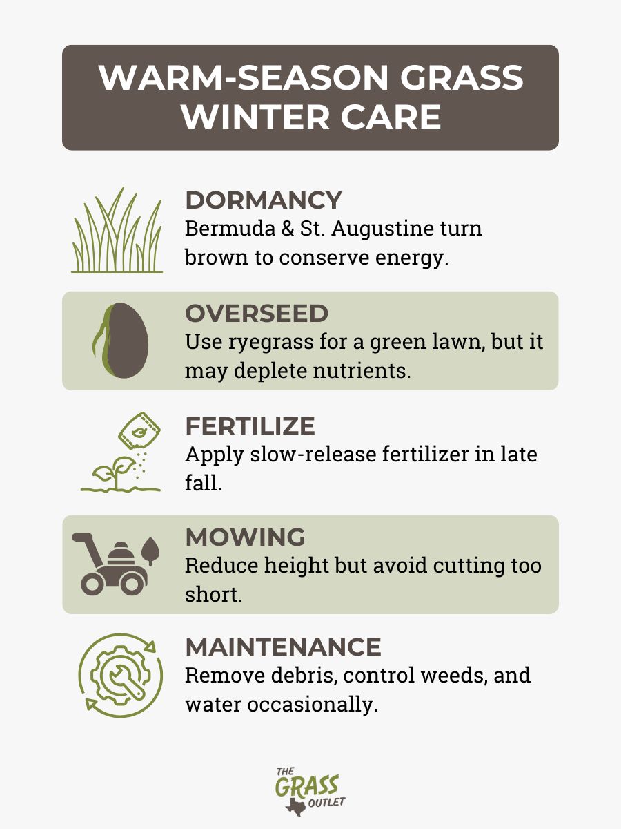Warm-Season Grass Winter Care