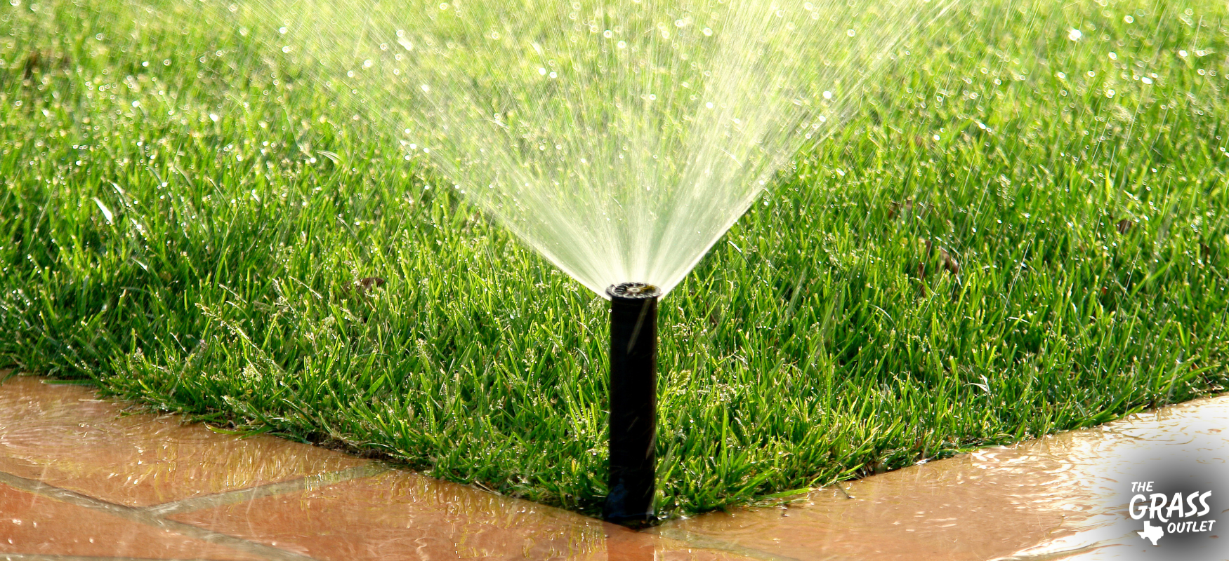 Water - Factors Affecting Planting Success