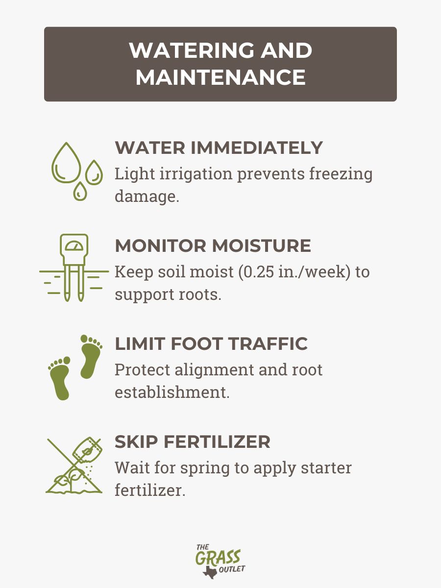 Watering and Maintenance