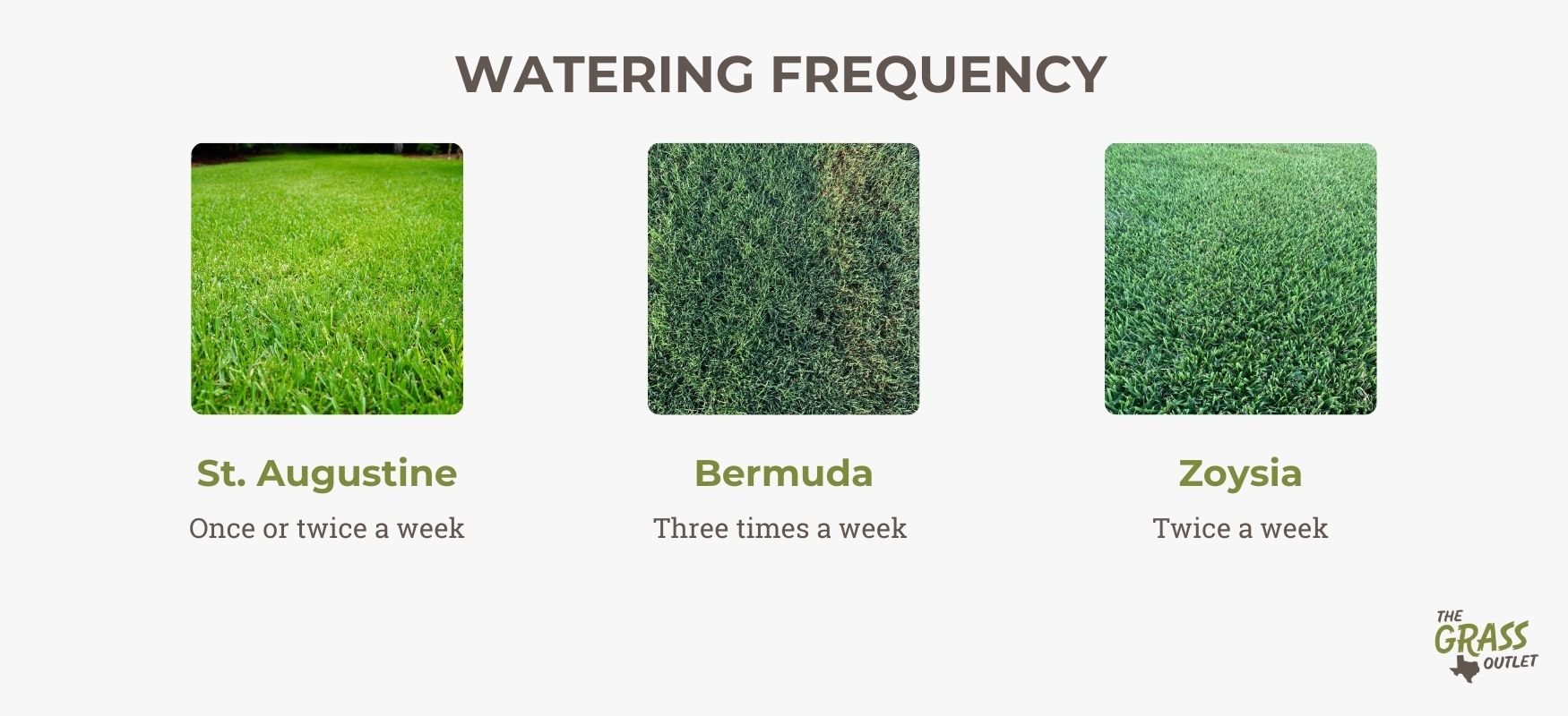 Watering frequency