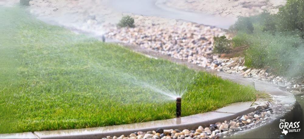 Watering grass in Texas