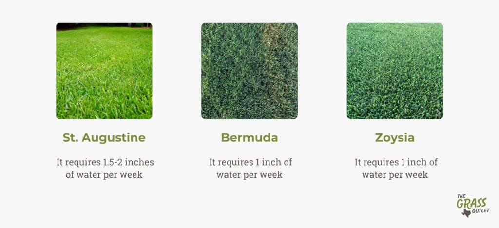 Watering guidelines for grasses