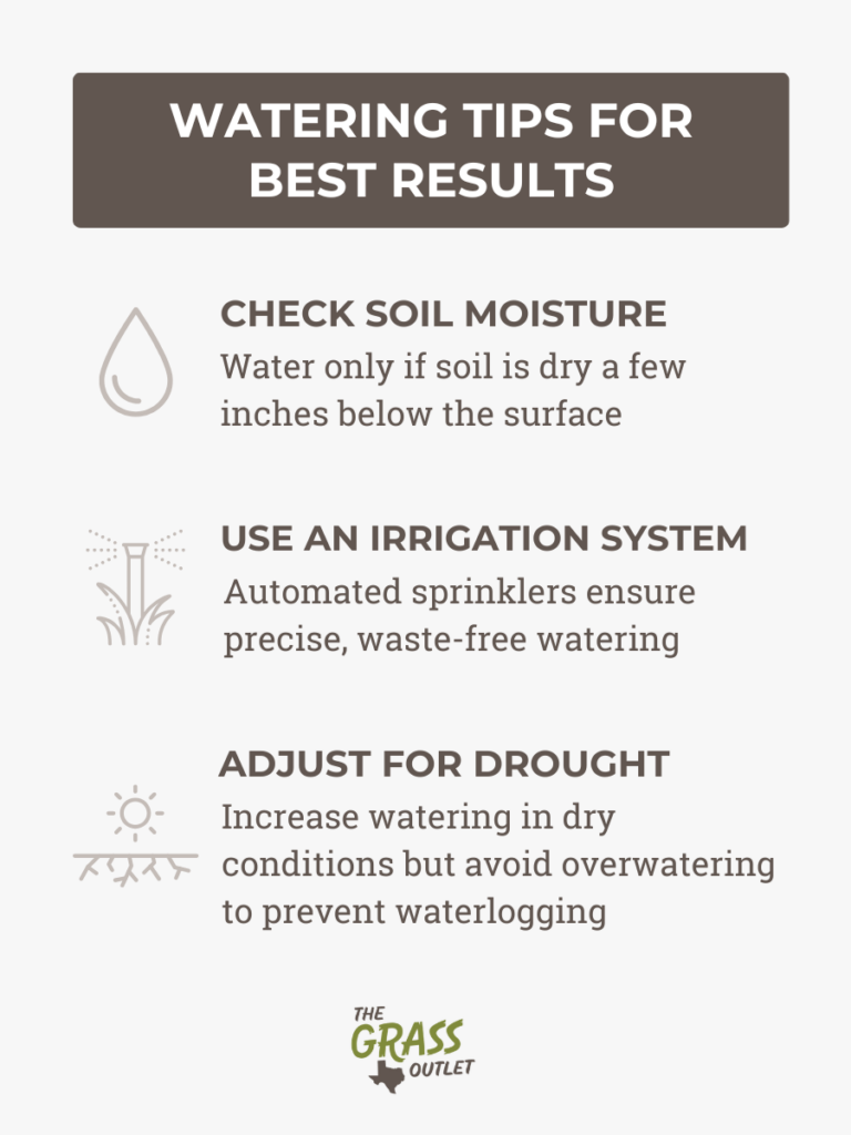 Watering tips for best results