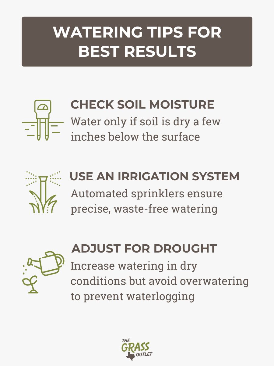 Watering tips for best results