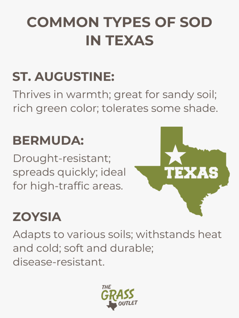 Common Types of sod in Texas.