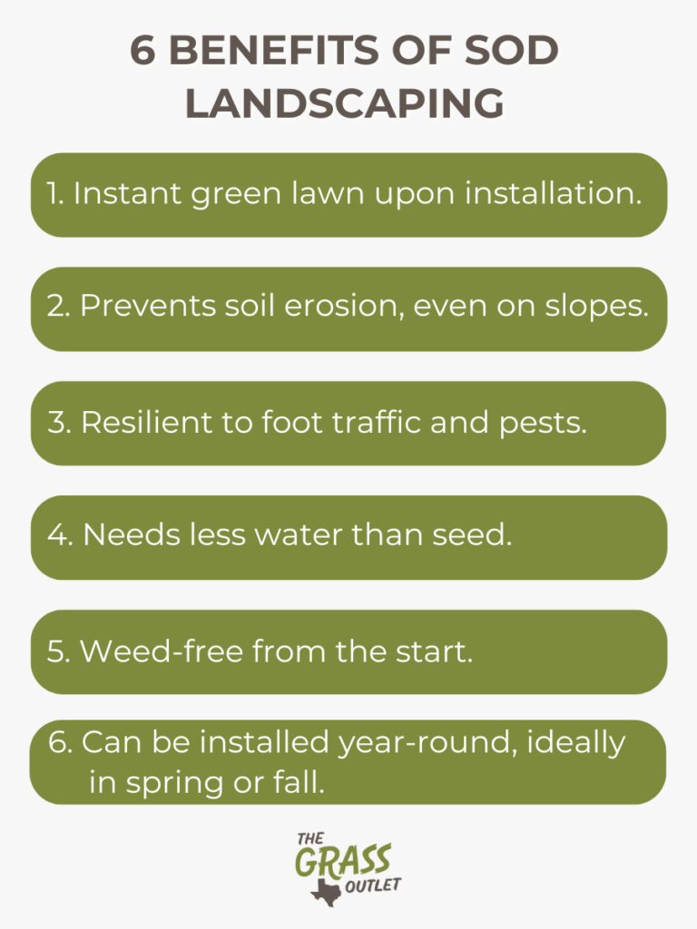 6 Benefits of sod landscaping