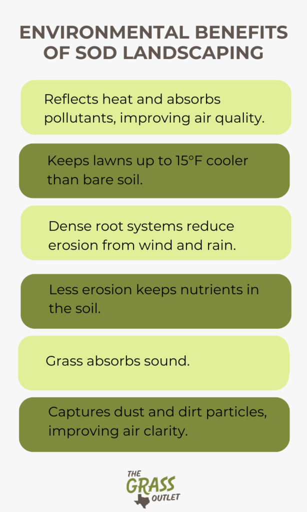 Environmental Benefits of Sod Landscaping