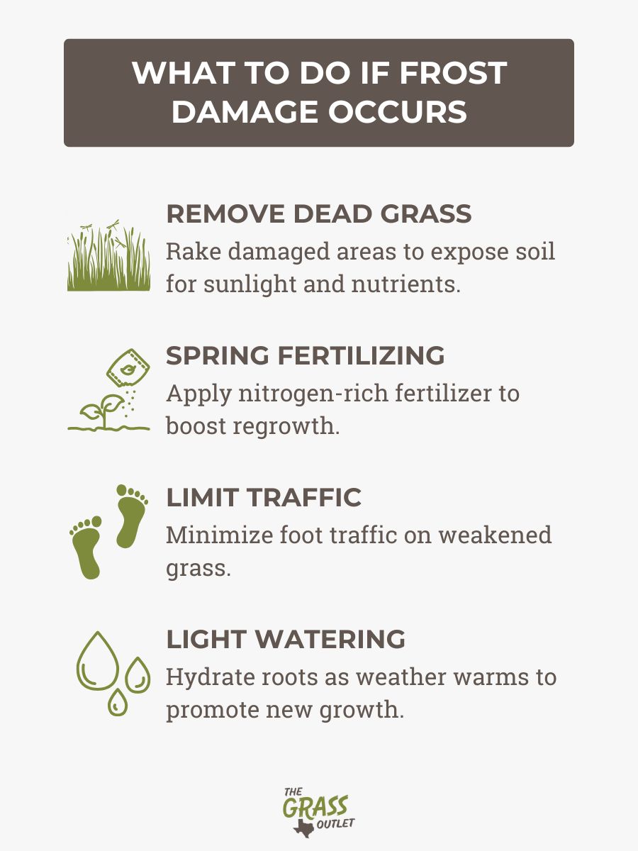 What to Do if Frost Damage Occurs
