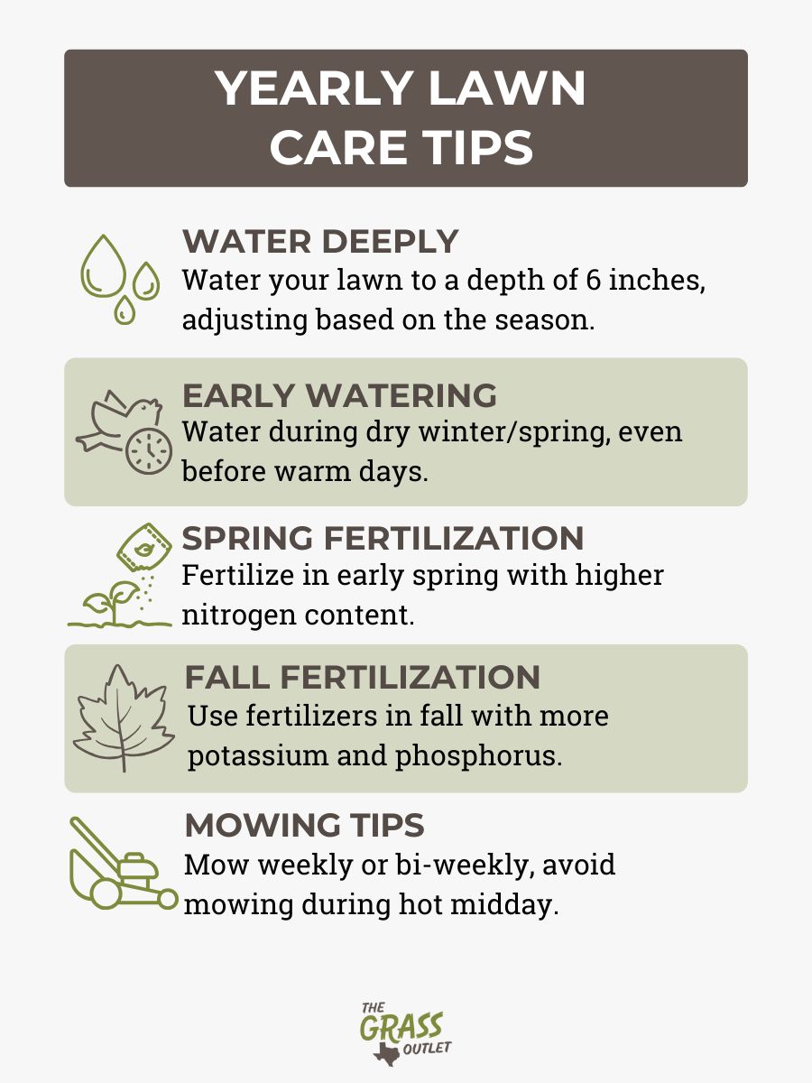 Yearly lawn care tips