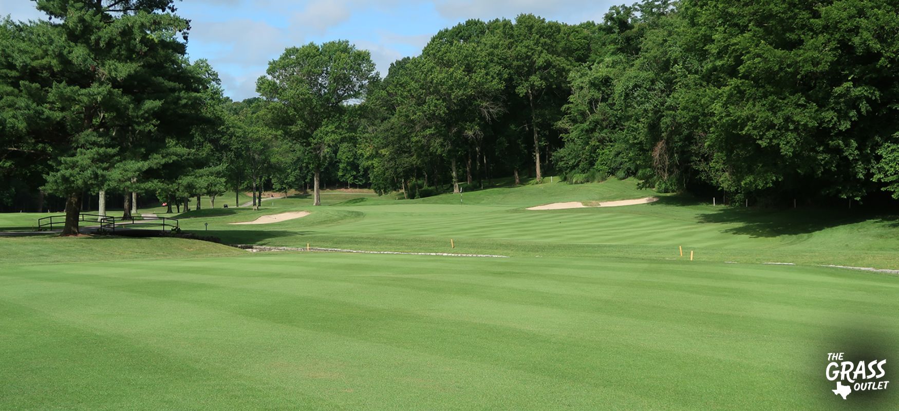 Zeon zoysia for golf courses