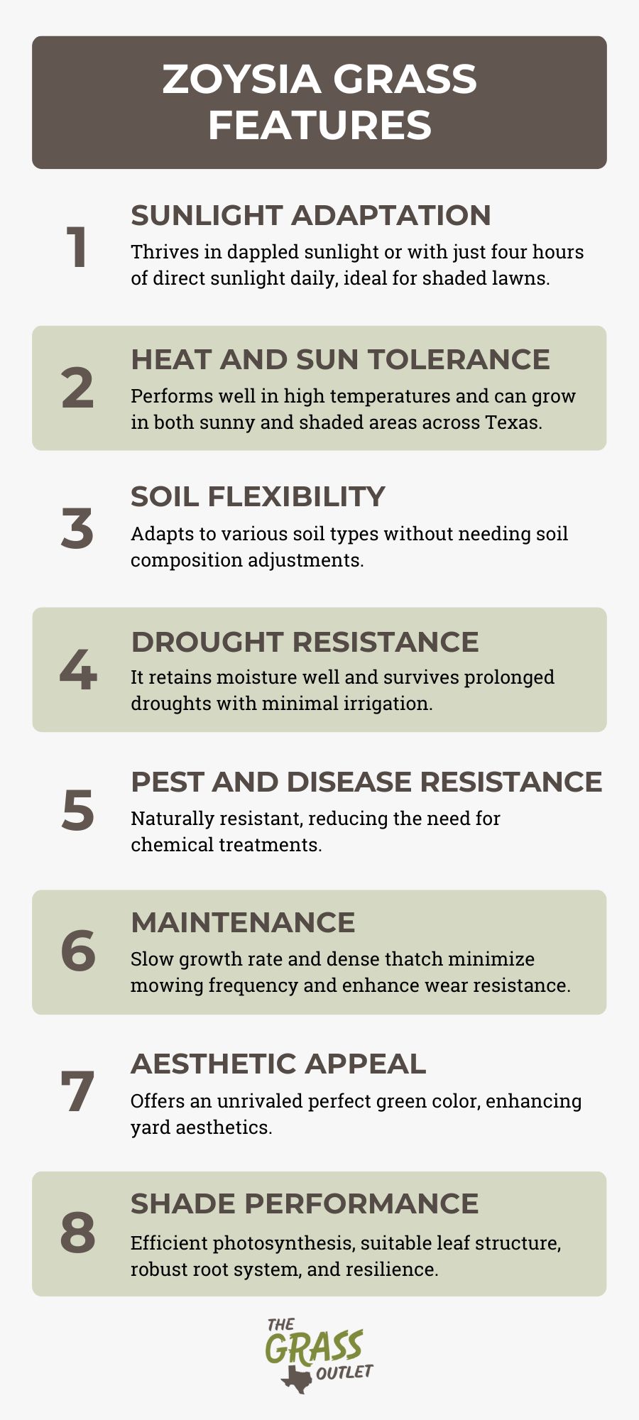 Zoysia Grass Features