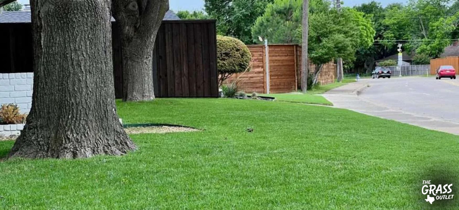 Zoysia lawn in Texas