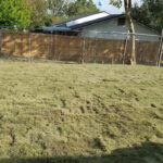 Customer's back yard sod