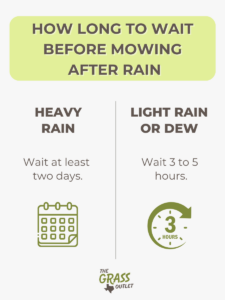 Visual showing details on how long to wait for mowing after it rains