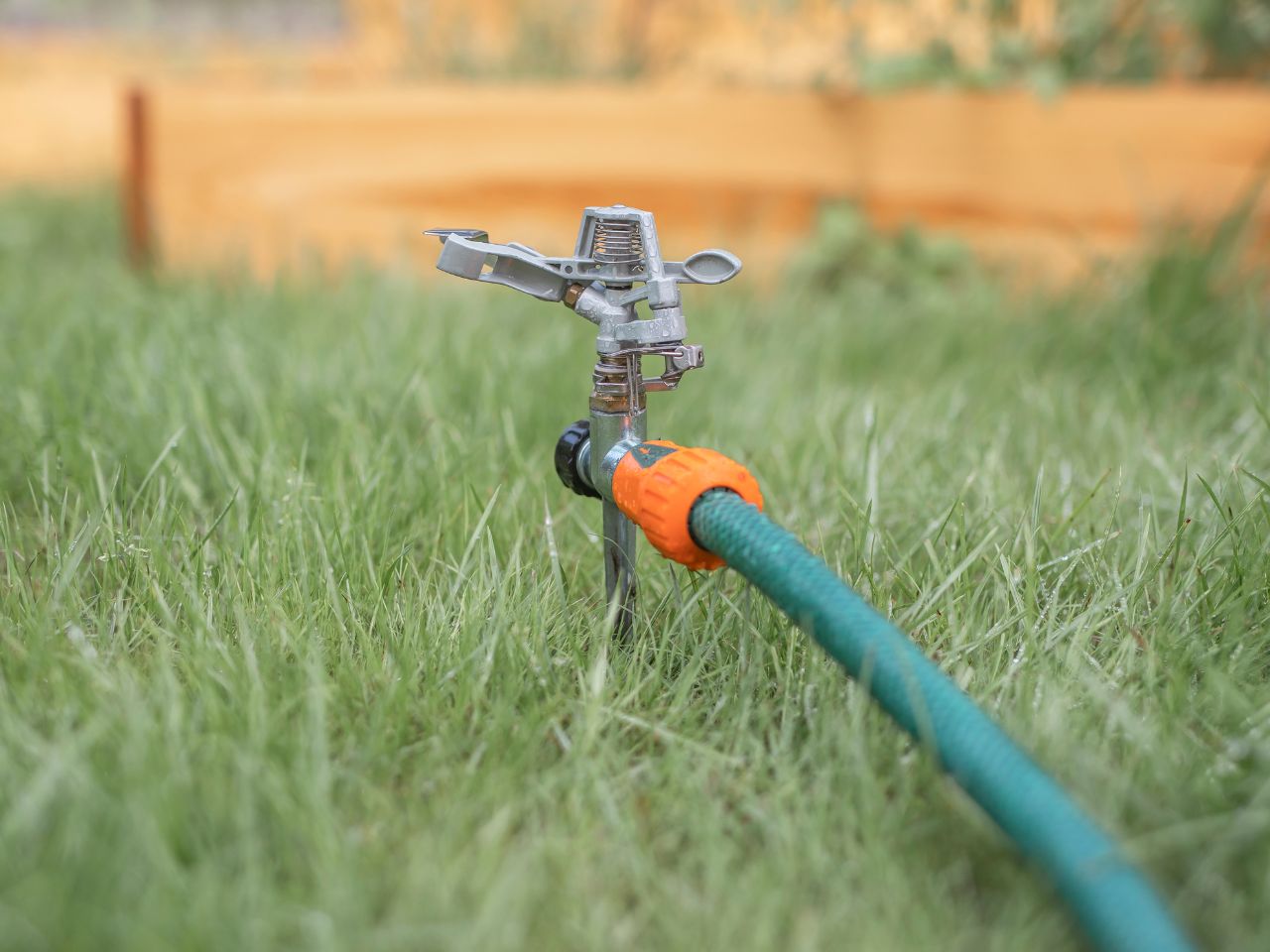 watering your lawn