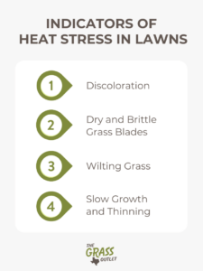 Visual showing the sings of a heat stressed lawn